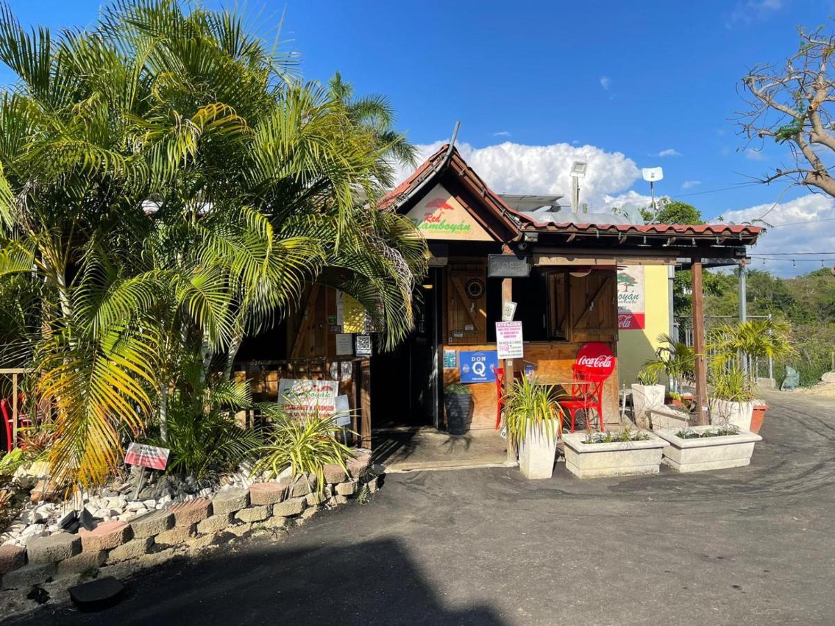 Red Flamboyan Guesthouse And Restaurant Rincon Bagian luar foto